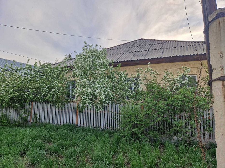 Дом на Красном кордоне