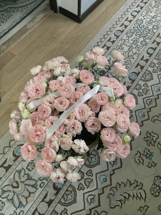 Гул сатылады свежий