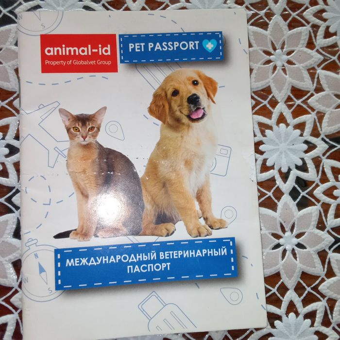 Алабай Россиядан келтирилган