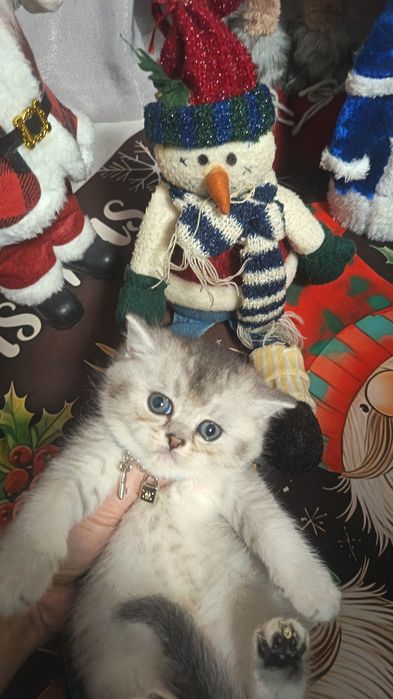 Шикарные мальчишки от правильной вязки