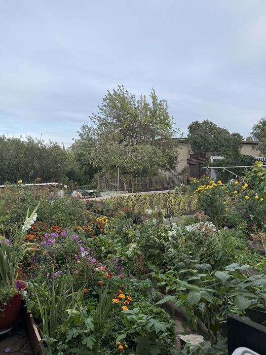 Продается дом в соц городе