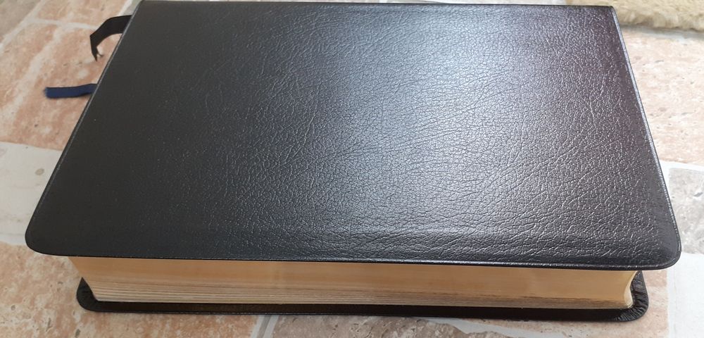 Biblie in engleza NIV