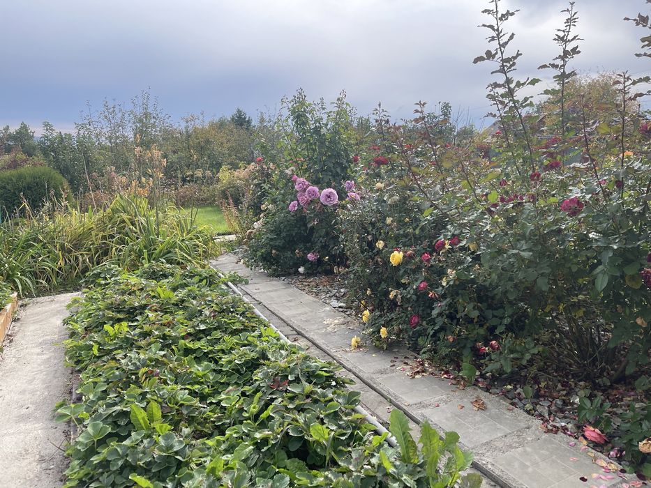 Продается  шикарная дача в Новой Бухтарме