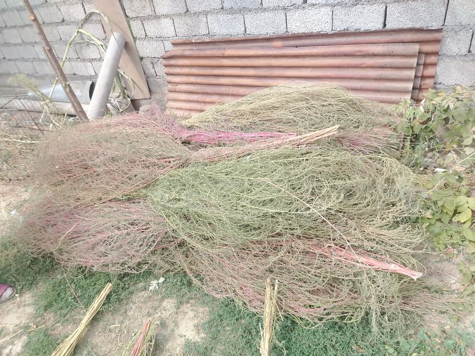 Köfte ayollarning porno fotosuratlari