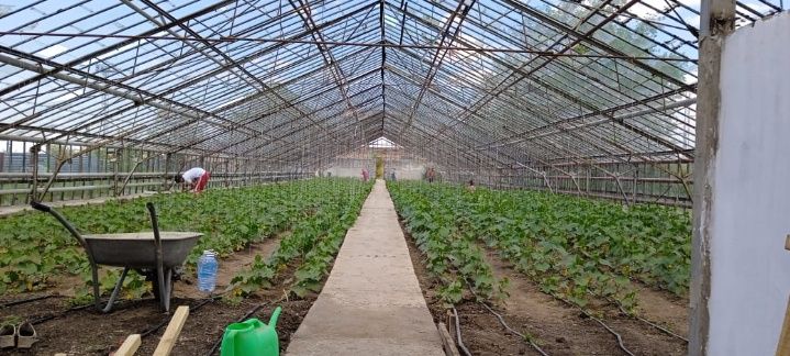 Продам  теплицу в городе