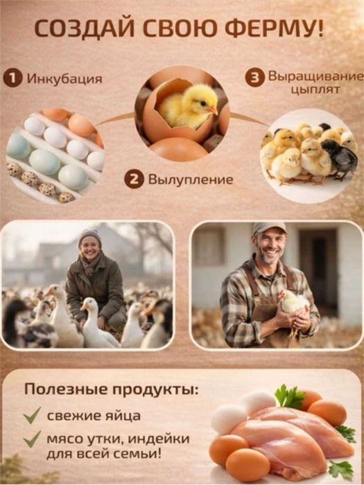 16talik avtomatik burilishli tuxum inkubatori harorat termoregulyatori