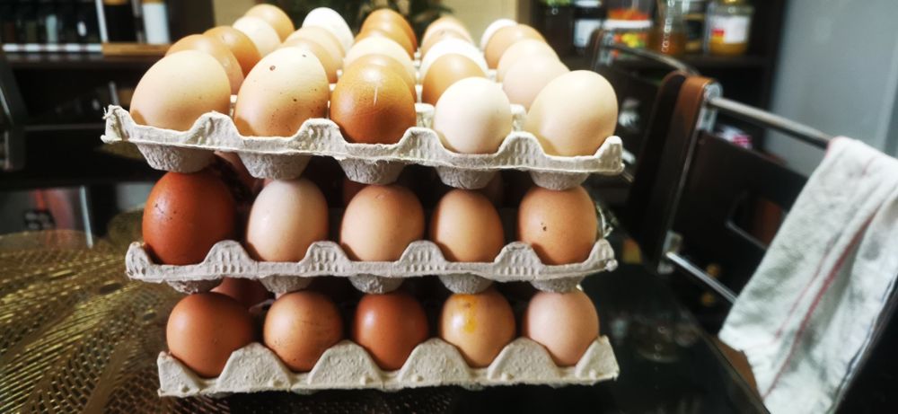 De vânzare ouă proaspete de țară bio