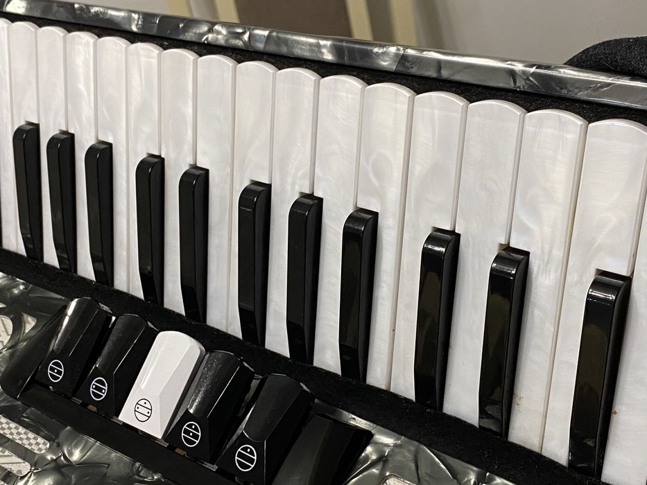 Acordeon  Comet ( Parrot) 72 basi