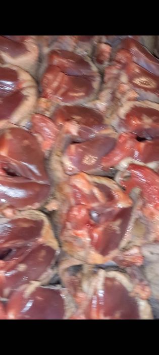 Сизые голуби из степи