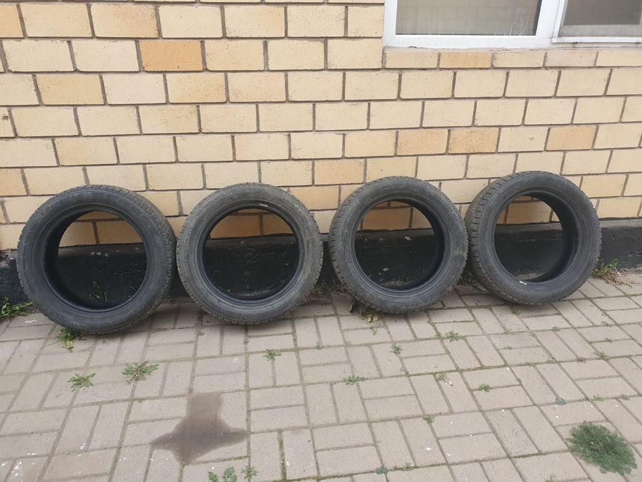 Резина зимняя Triangle 195/55/R16