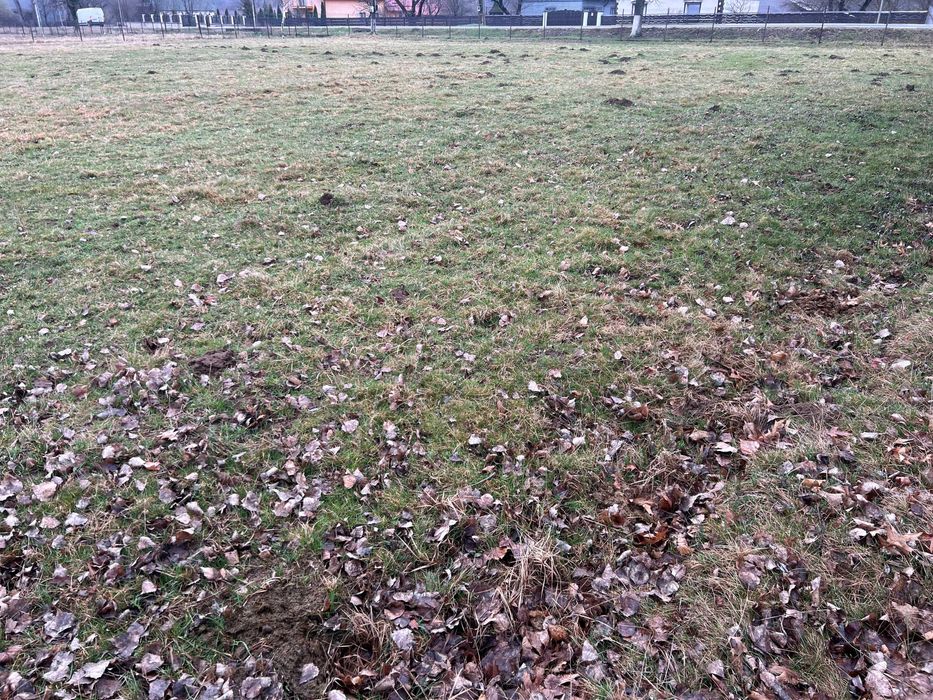 Vand teren intravilan in Horodnic de Sus strada Toplitei  30 ari