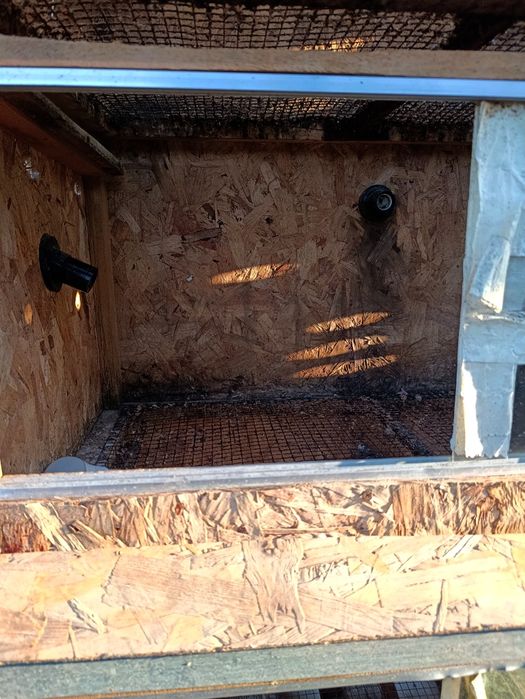 Продам Брудер для цыплят