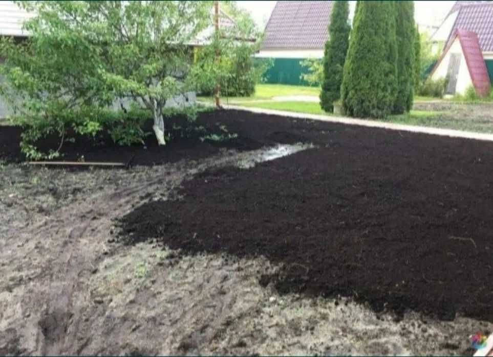 Чернозем в Биг Бегах