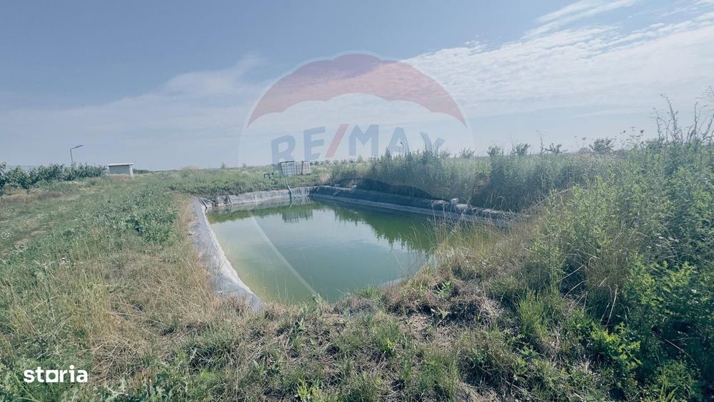Teren agricol 16.750mp în Cârcea, imprejmuit, cultura capsuni, solarii