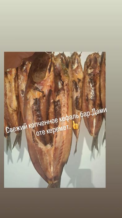 Свежий копченный кефаль бар.