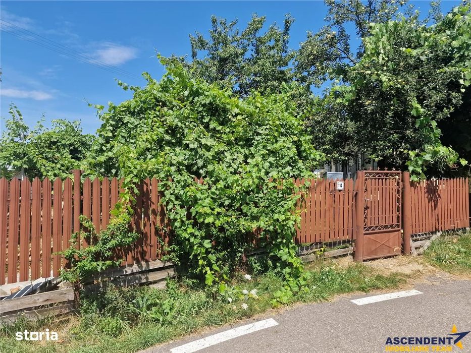 Casa traditionala, cu 2.000mp teren roditor