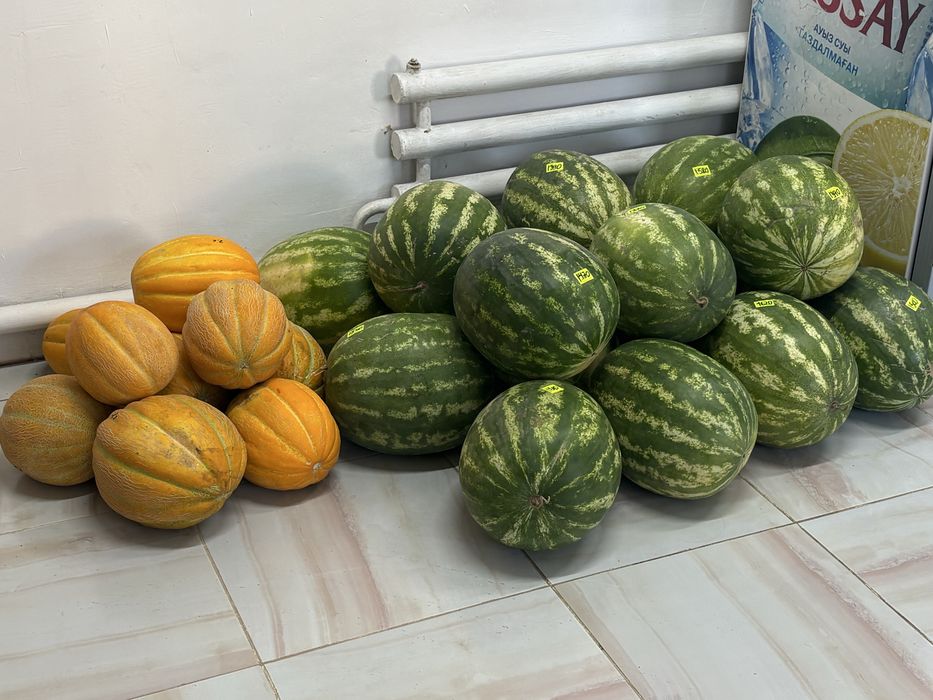 Готовый бизнес сатылады