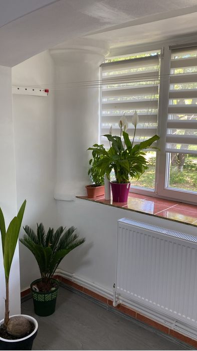 Apartament Deveselu, Olt