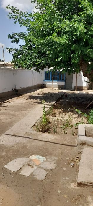 Termez Shaxrida uchastka