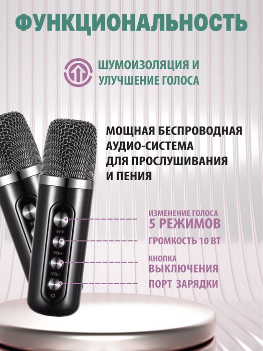 Караоке колонка с двумя микрофонами.