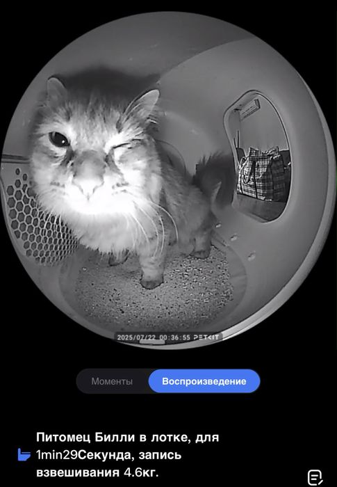 Автоматический лоток PetKit Purobot Max Pro 2