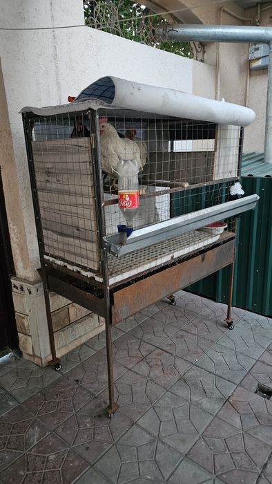 Tovuq qafas gildirakli. Buyurtmaga ham yasab beramiz