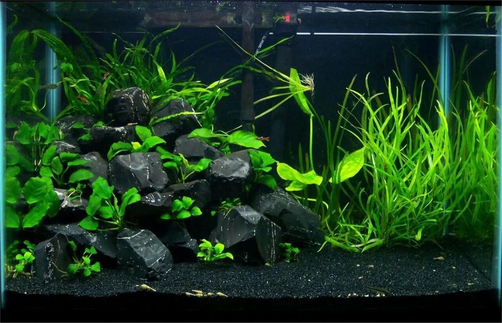 Декоративный камни для аквариума