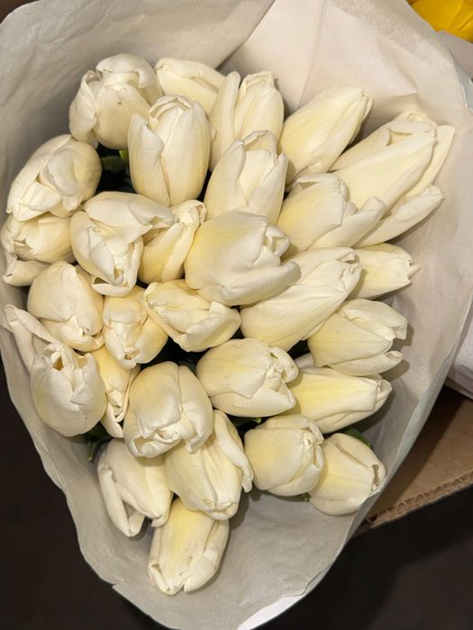 Тюльпаны оптом и в розницу