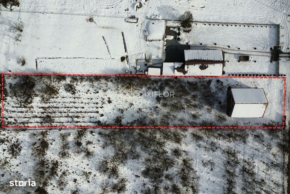 Casă cu teren | Bălăușeri