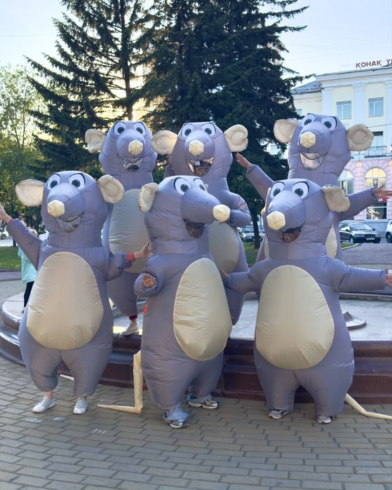 Костюмы крыс в аренду