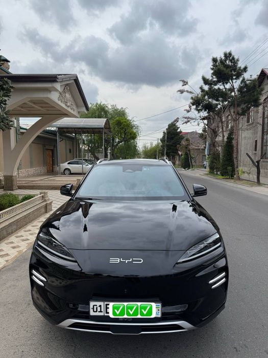 BYD chenpion 605 xonar
