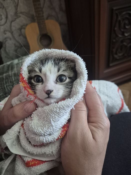Малышка ищет доброго человека!