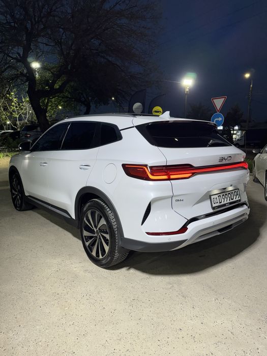 BYD chempion Gibrit 2026