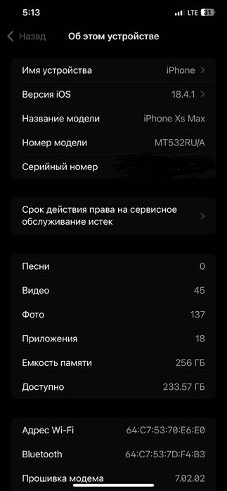 iPhone XS Max 256 gb