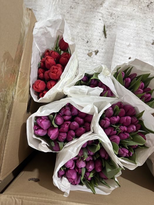 Тюлпаны на 8 марта