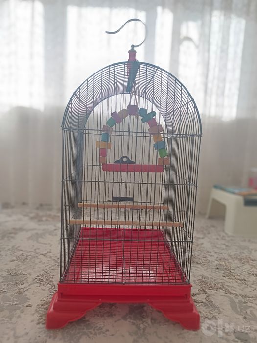 Tõtiqush uchun qafas sotiladi.