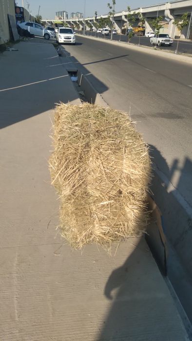 Xashak press sotiladi