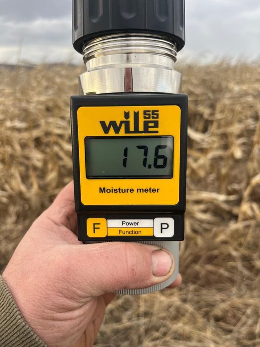 Porumb boabe recolta 2025