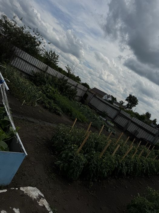 Продам дом в боровском
