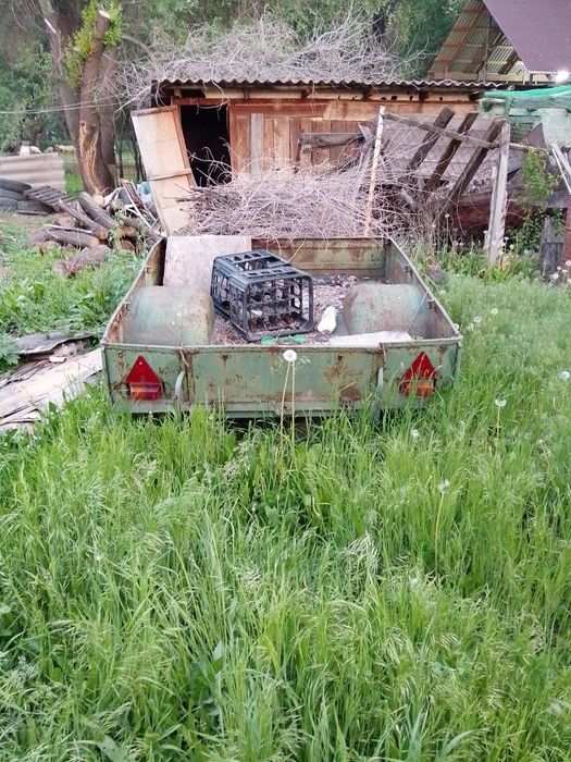Прицеп легковой скиф