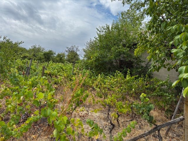 Продава се Къща в Силистра, Римска гробница - 70 кв.м за 183 €/кв.м - Снимка #6