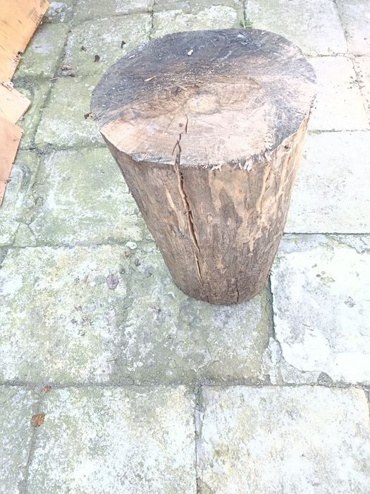 Vând trunchi de copac nuc crcuferinta120 lu 70 cm grosime 40 cm