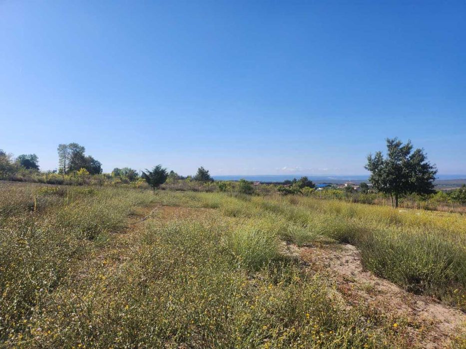 Отлична инвестиционна възможност: Разработен бизнес с оранжерии и