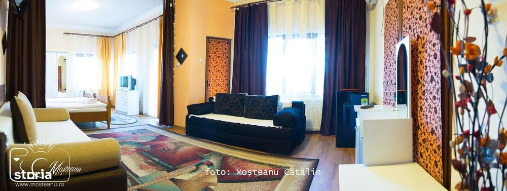 Se Vinde Pensiunea Sidonia din Calimanesti