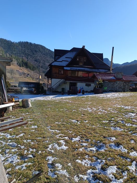 Închirieri Camera Dâmbovicioara