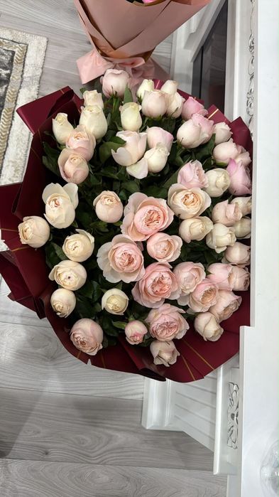Бүгін келген свежий