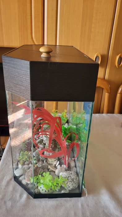 Аквариум на 10 литров