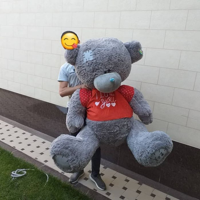 Teddi, Teddy, Teddiy yumshoq o'yinchoqlar