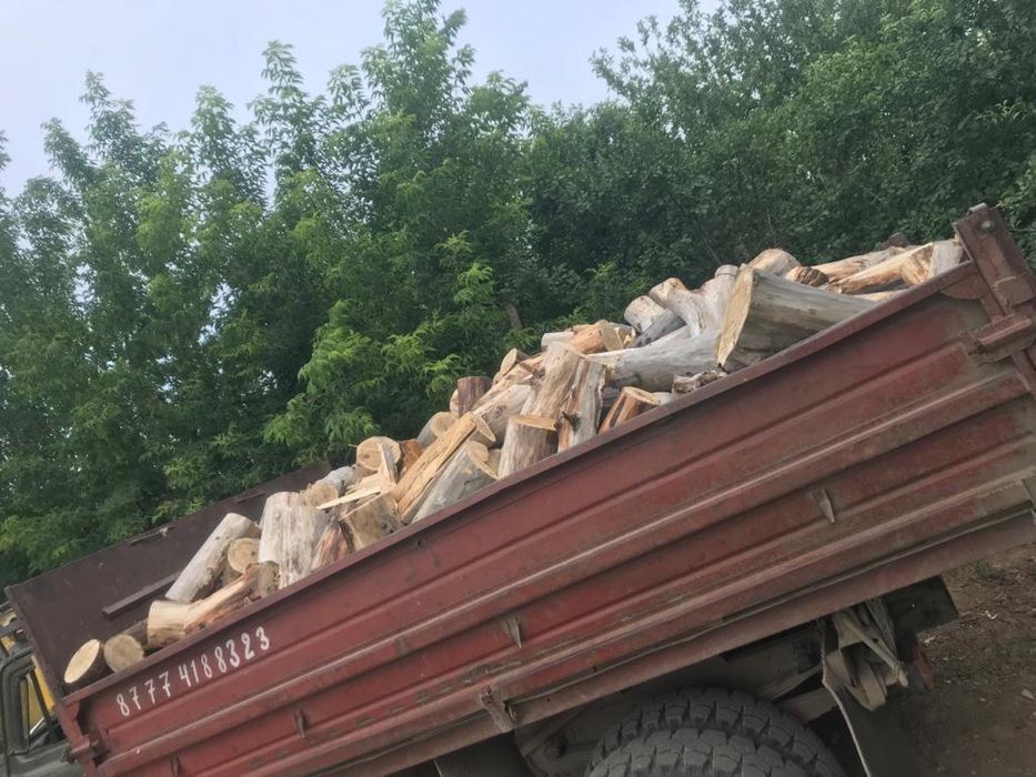 Дрова сухие газ 53 .по городу