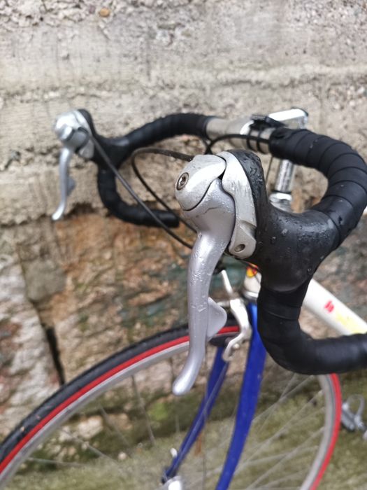 Vand cursiera Cinto 2